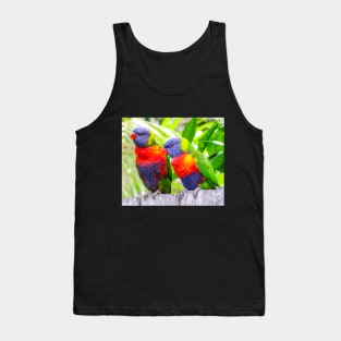 Rainbow Lorikeets Tank Top